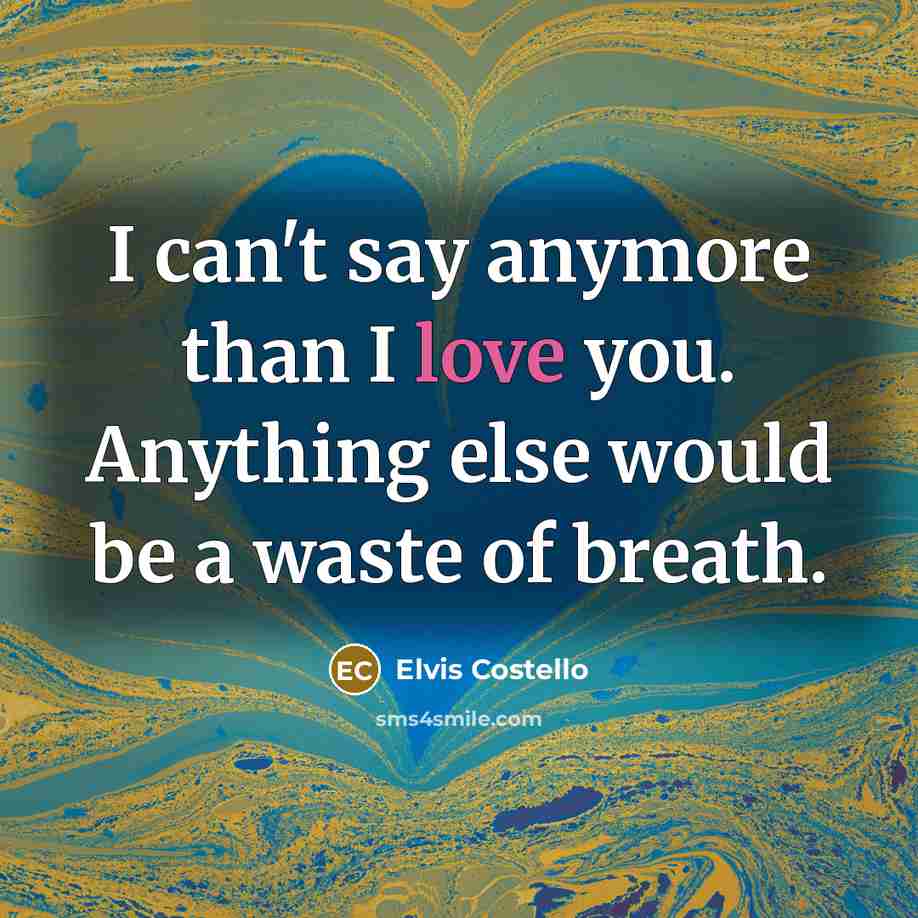 “I can't say anymore than I love you. Anything else…” quote by Elvis Costello
