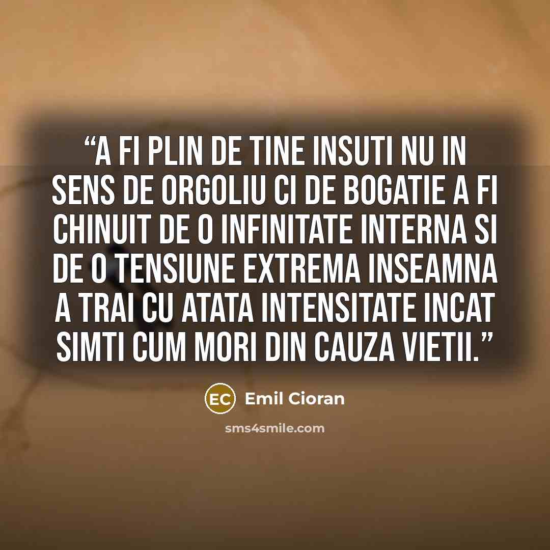 “A fi plin de tine insuti nu in sens de orgoliu ci de bogatie a fi chinuit de o infinitate interna si de o tensiune extrema inseamna a trai cu atata intensitate incat simti cum mori din cauza vietii.” quote by Emil Cioran