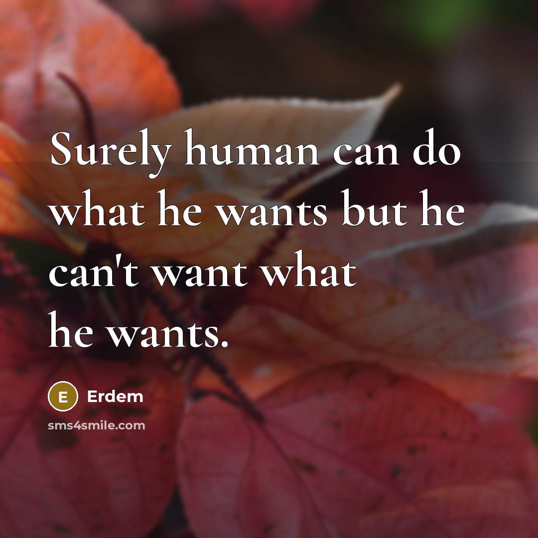 “Surely human can do what he wants but he can't…” quote by Erdem