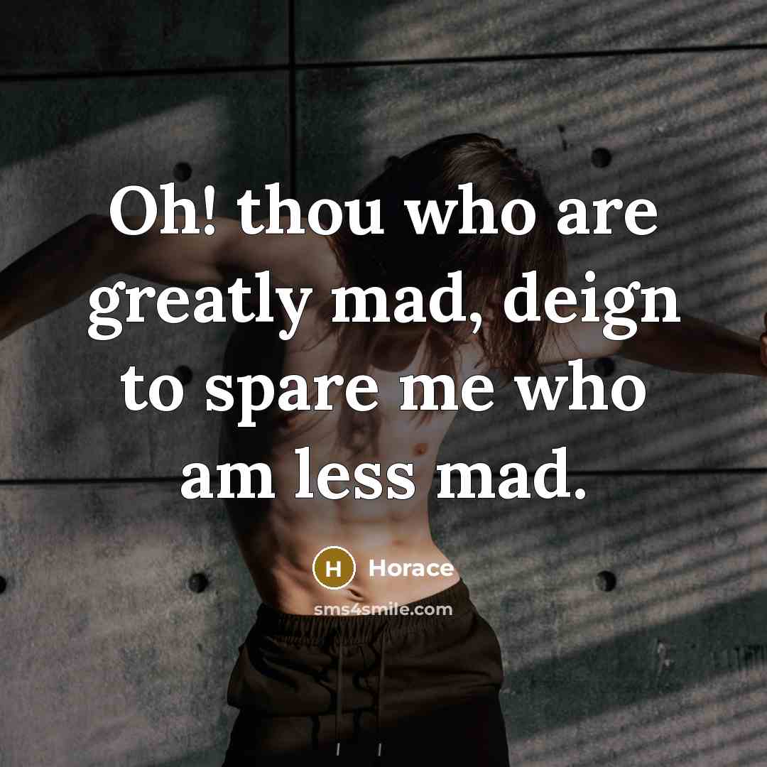 “Oh! thou who are greatly mad, deign to spare me…” quote by Horace