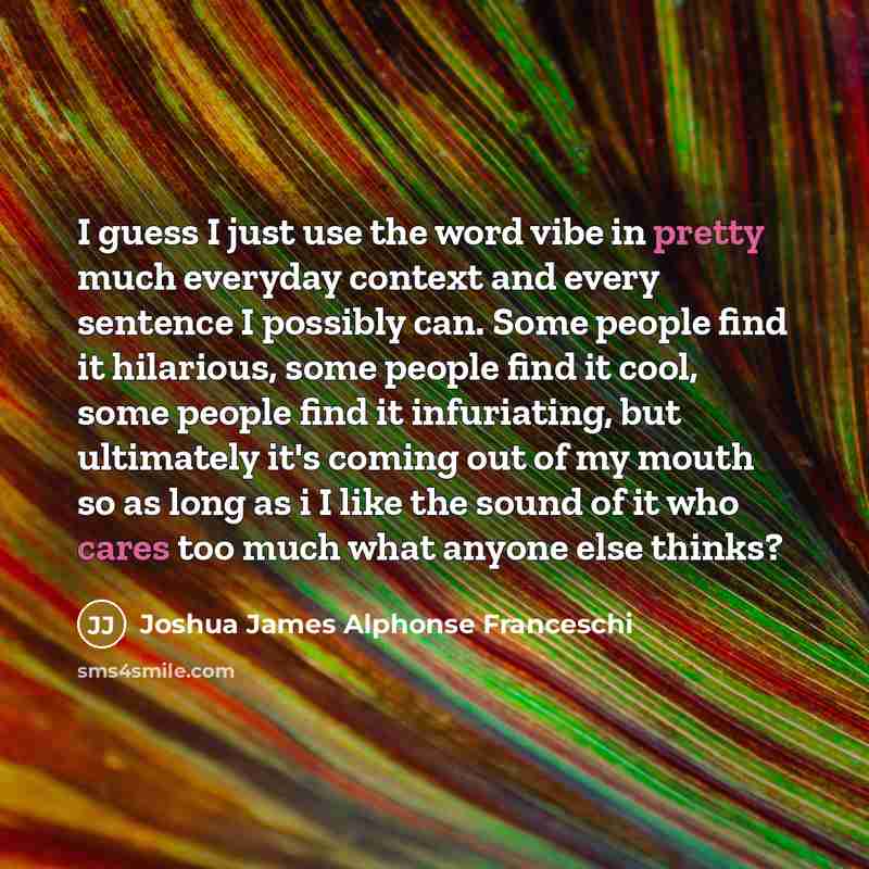 “I guess I just use the word vibe in pretty…” quote by Joshua James Alphonse Franceschi