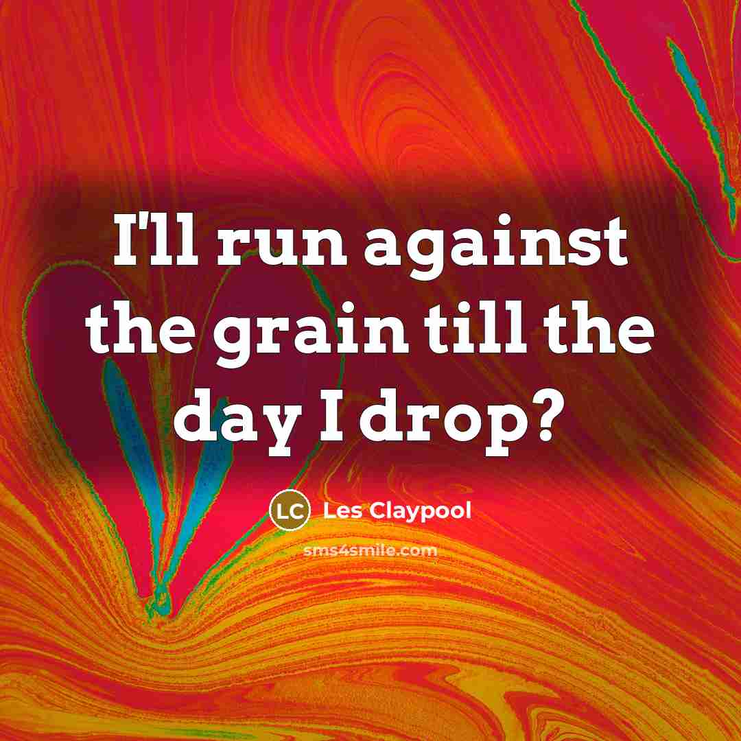 “I'll run against the grain till the day I drop?…” quote by Les Claypool