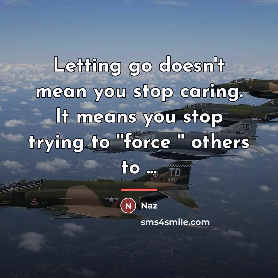 “Letting go doesn't mean you stop caring. It means you…” quote by Naz