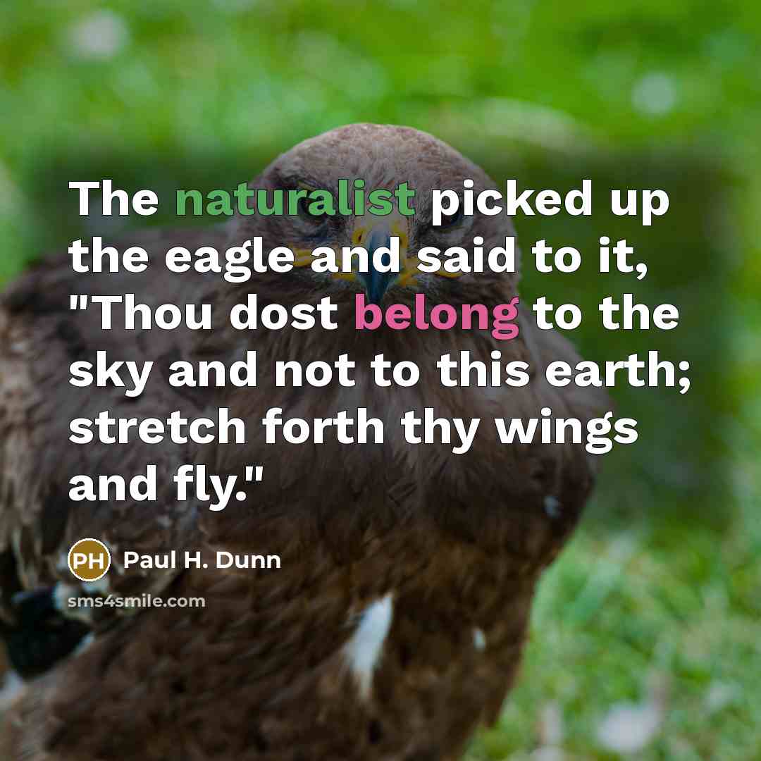 “The naturalist picked up the eagle and said to it,…” quote by Paul H. Dunn