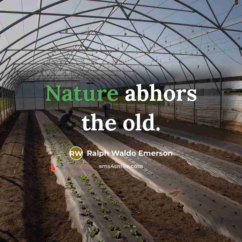 “Nature abhors the old.…” quote by Ralph Waldo Emerson