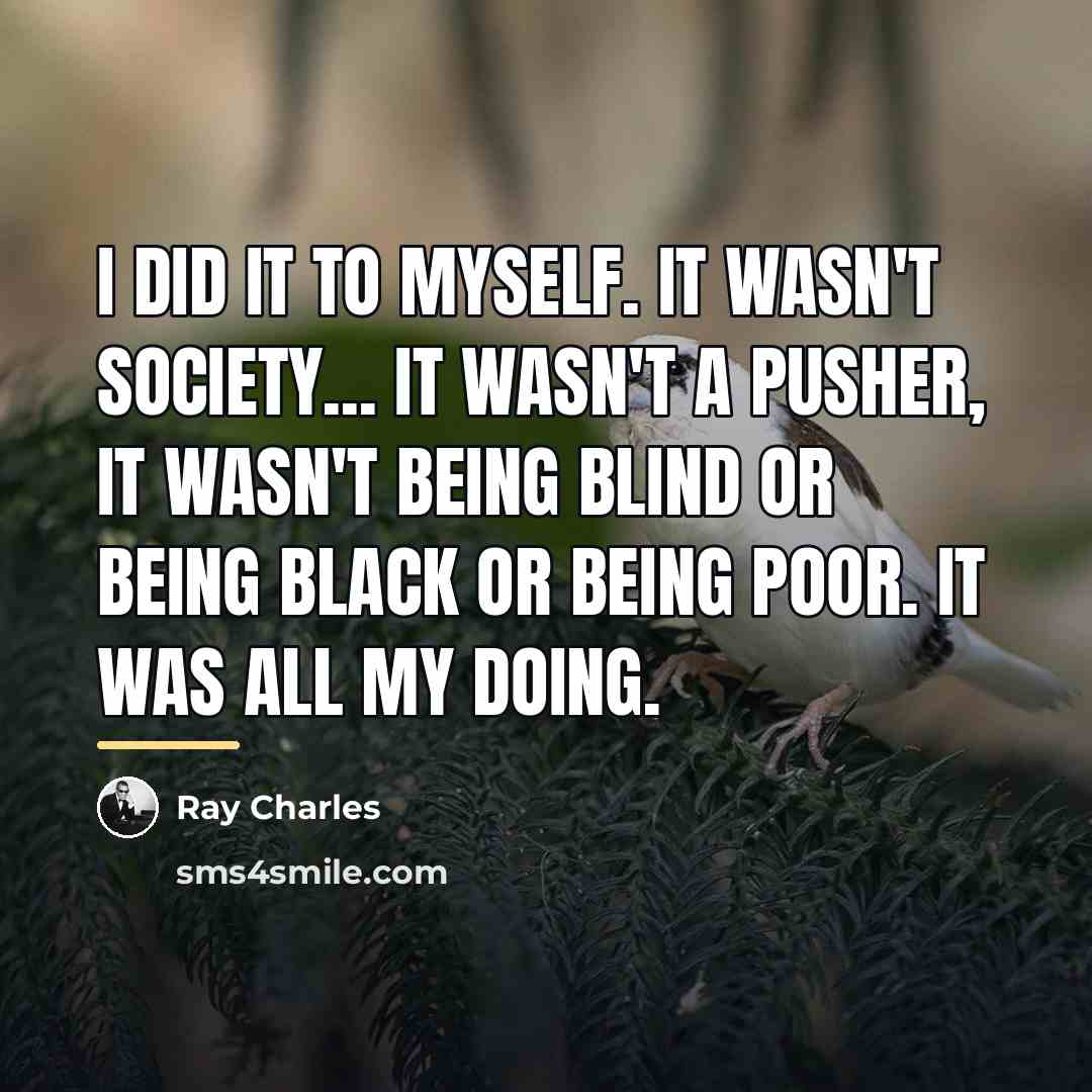 “I did it to myself. It wasn't society... it wasn't…” quote by Ray Charles