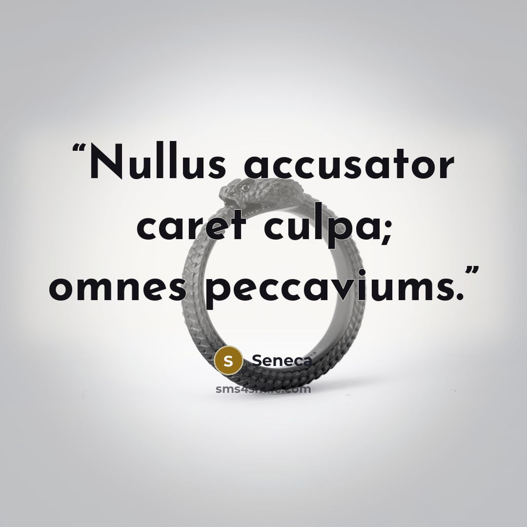 “Nullus accusator caret culpa; omnes peccaviums.” quote by Seneca