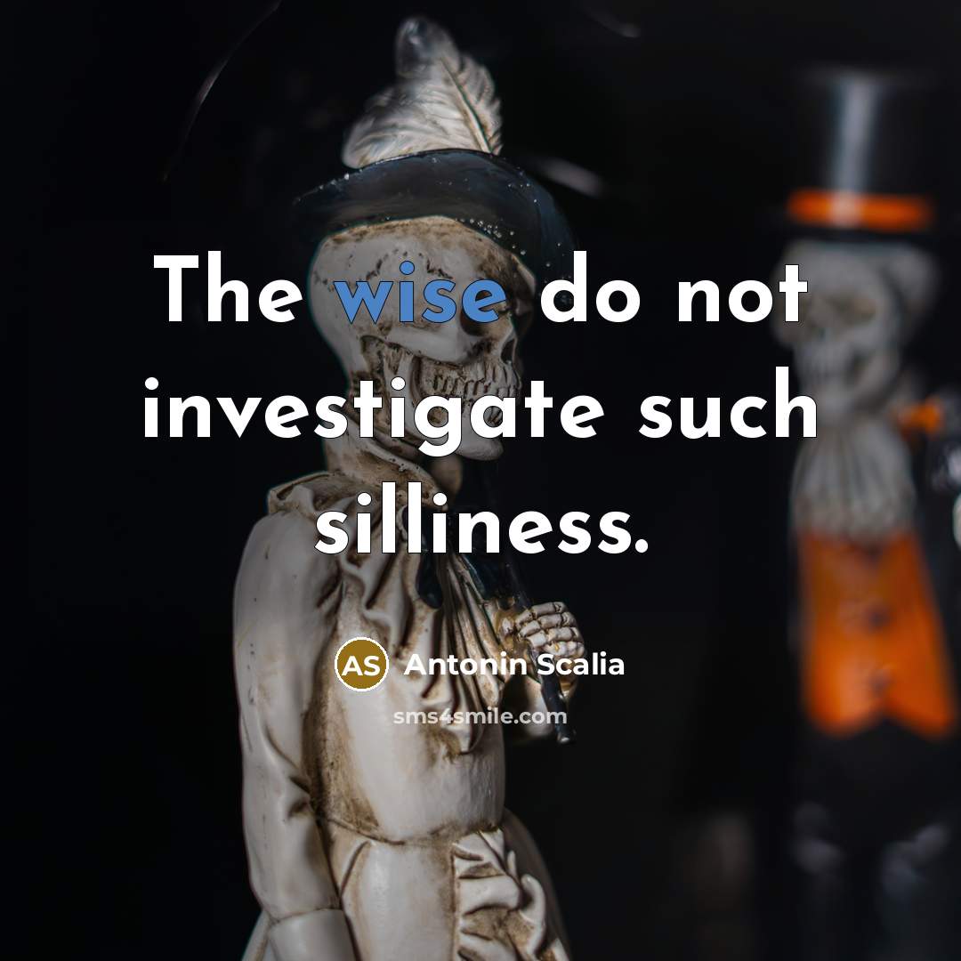 “The wise do not investigate such silliness.…” quote by Antonin Scalia
