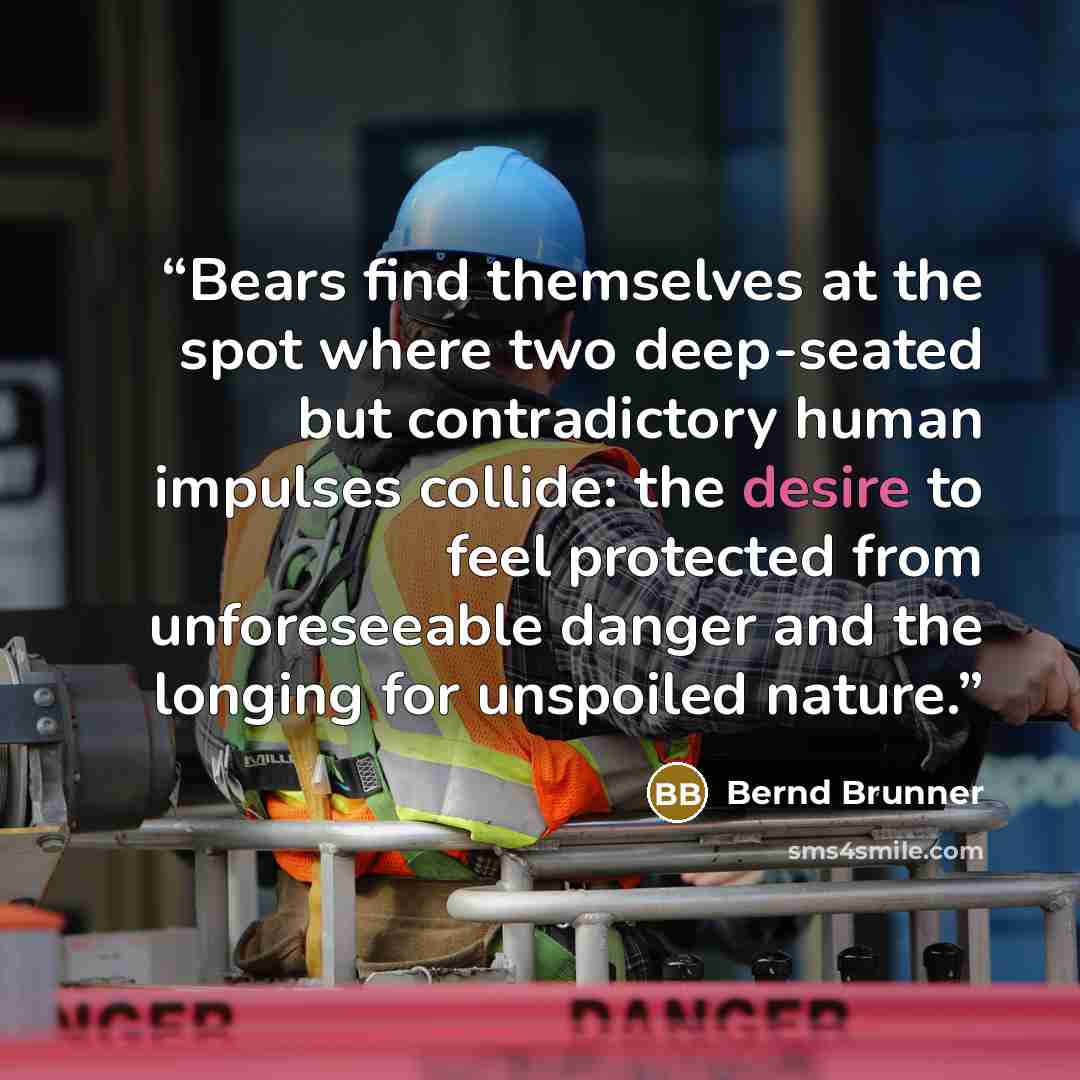 “Bears find themselves at the spot where two deep-seated but contradictory human impulses collide: the desire to feel protected from unforeseeable danger and the longing for unspoiled nature.” quote by Bernd Brunner