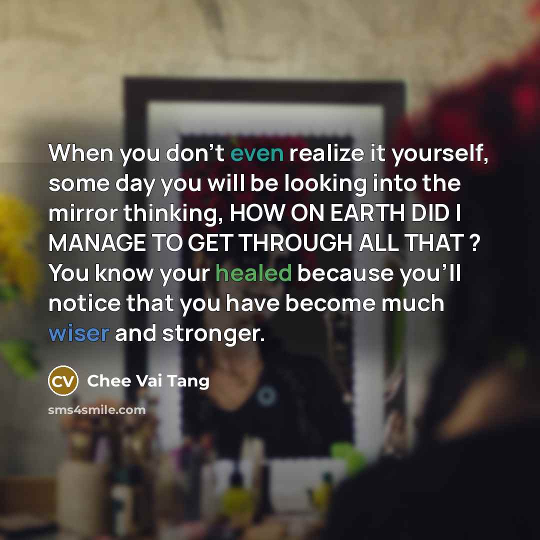 “When you don't even realize it yourself, some day you will be looking into the mirror thinking, HOW ON EARTH DID I MANAGE TO GET THROUGH ALL THAT ? You know your healed because you'll notice that you have become much wiser and stronger.” quote by Chee Vai Tang