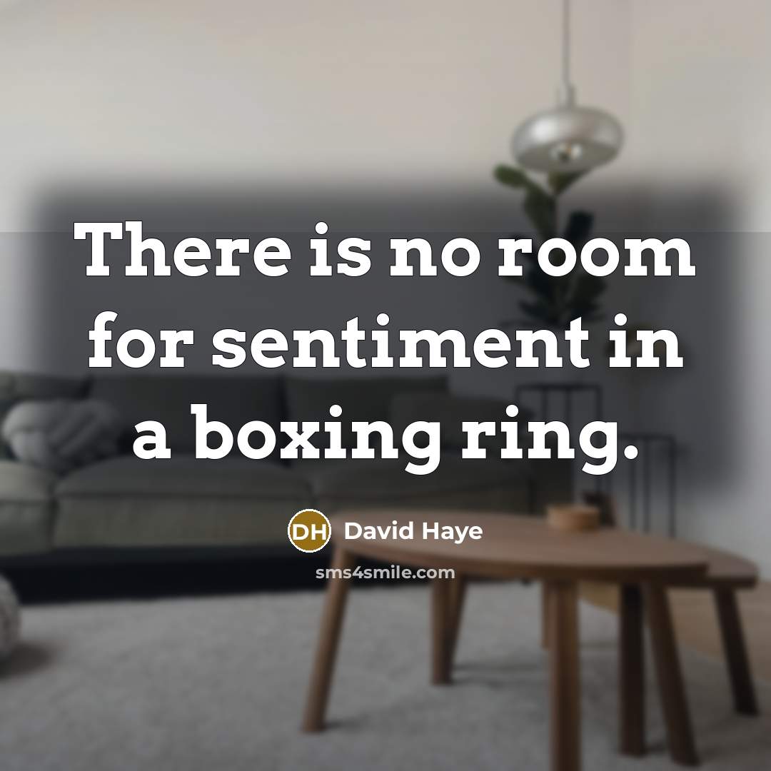 “There is no room for sentiment in a boxing ring.…” quote by David Haye