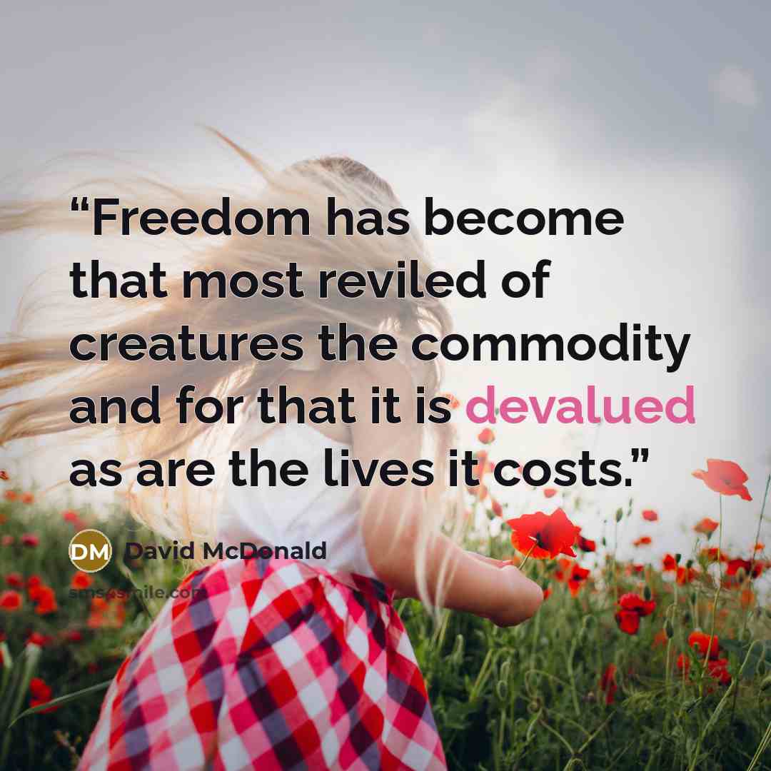 “Freedom has become that most reviled of creatures the commodity and for that it is devalued as are the lives it costs.” quote by David McDonald