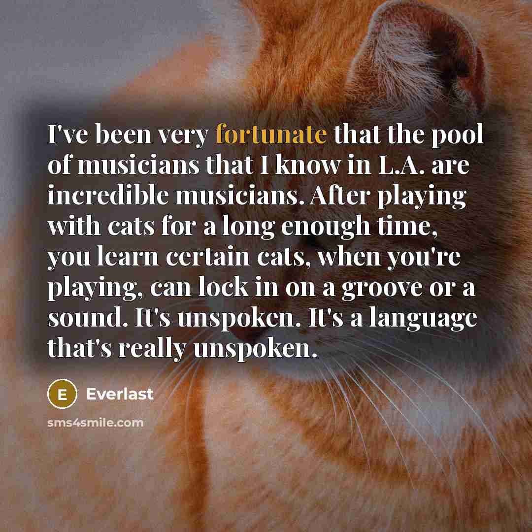 “I've been very fortunate that the pool of musicians that…” quote by Everlast