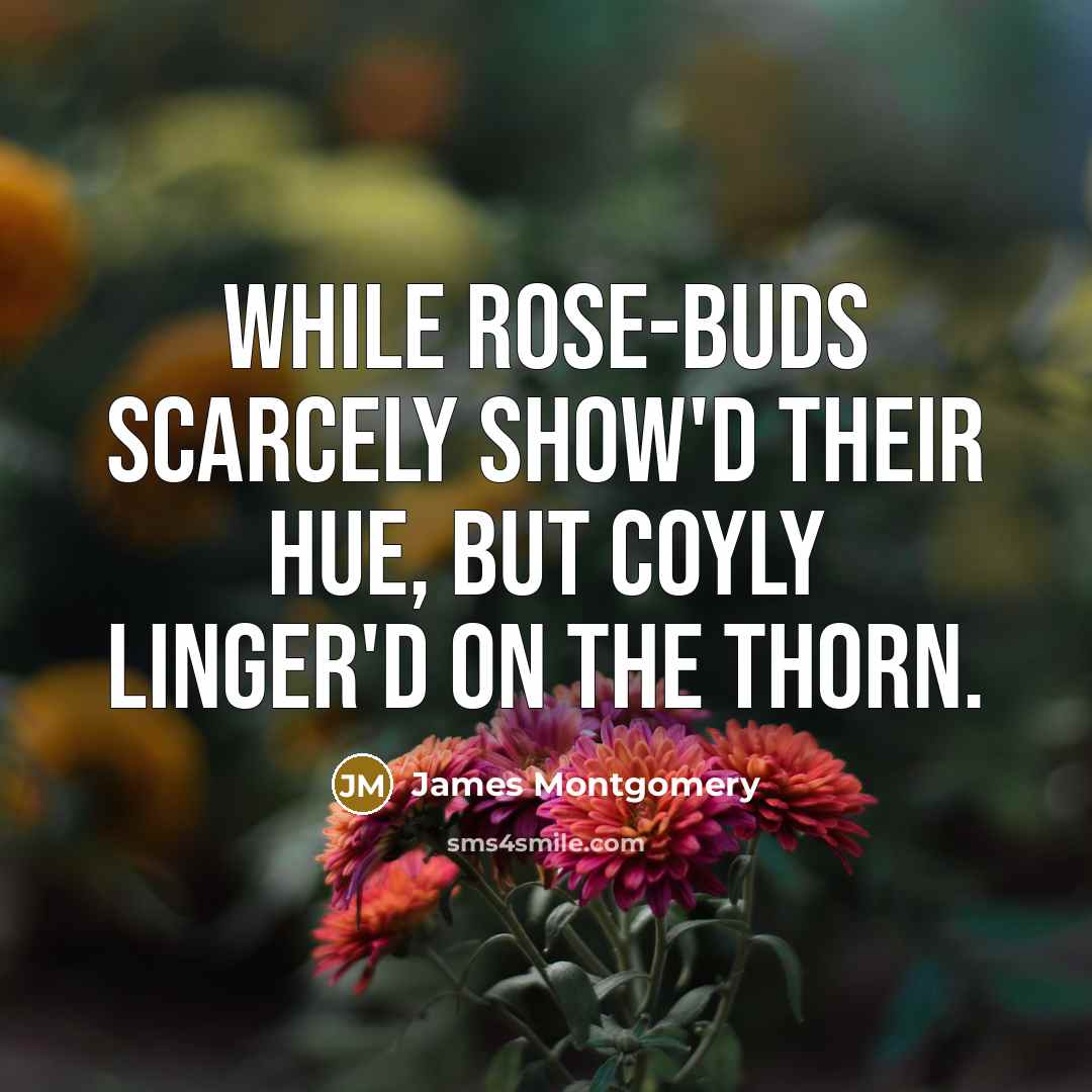 “While rose-buds scarcely show'd their hue, But coyly linger'd on…” quote by James Montgomery