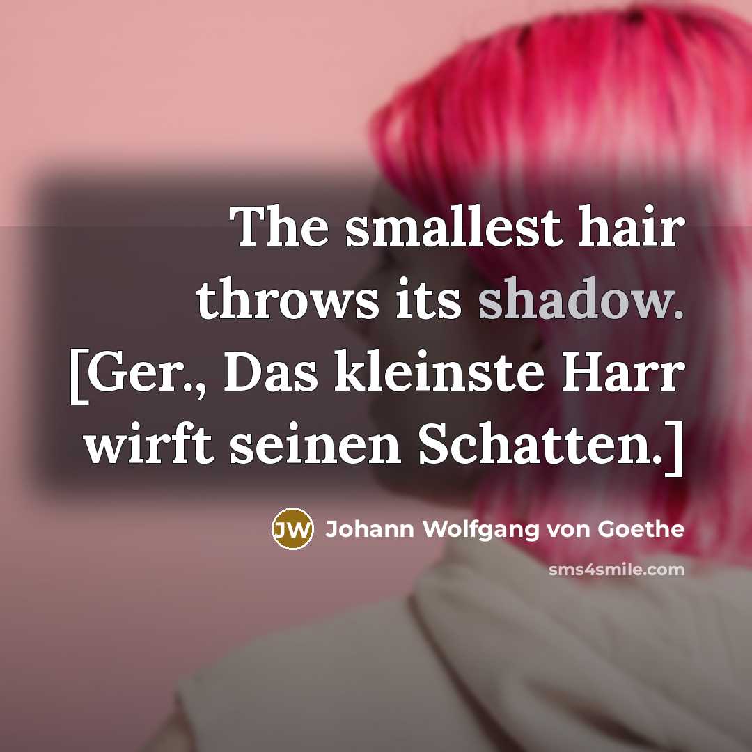 “The smallest hair throws its shadow. [Ger., Das kleinste Harr…” quote by Johann Wolfgang von Goethe