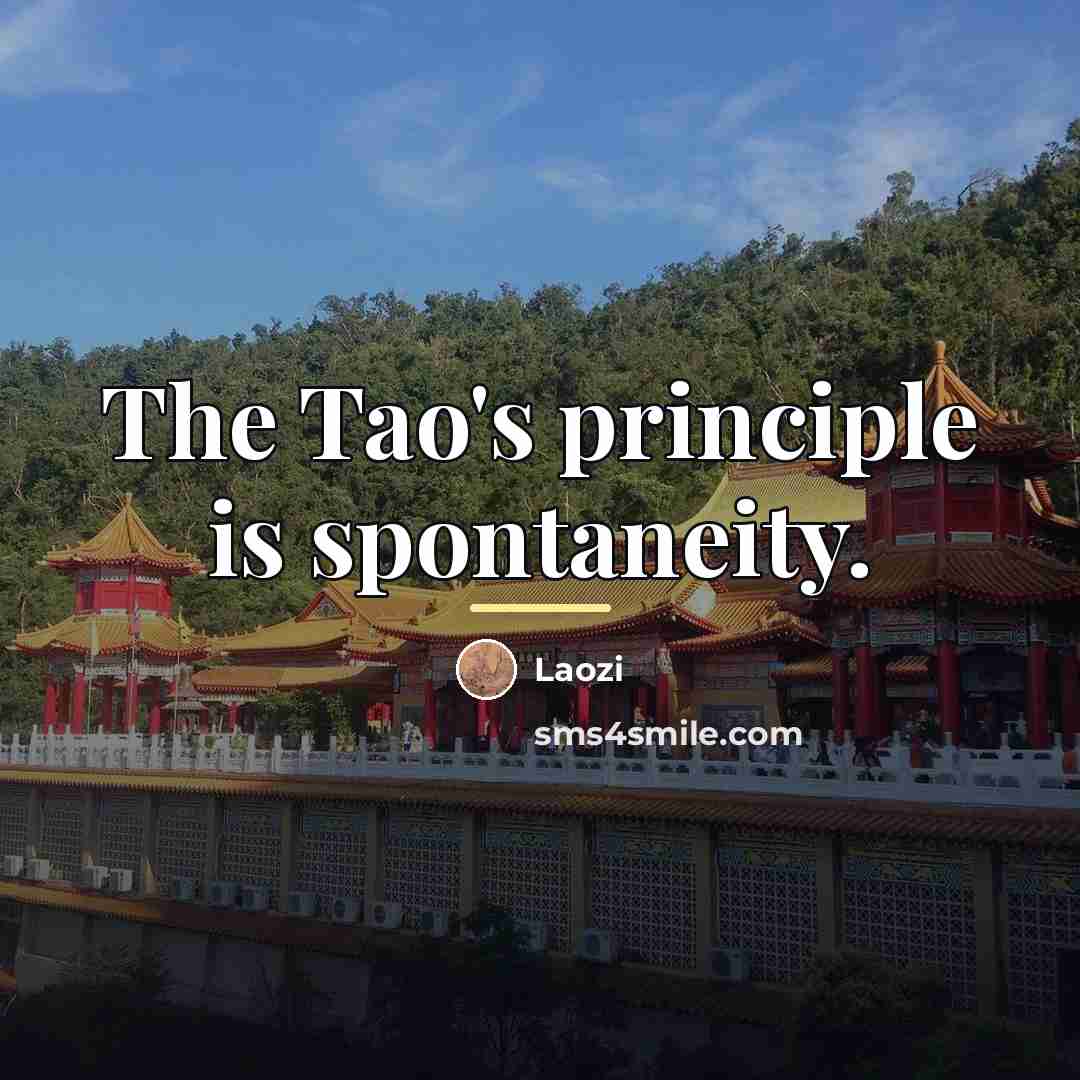 “The Tao's principle is spontaneity.…” quote by Laozi