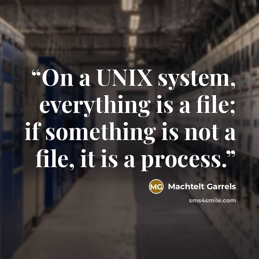 “On a UNIX system, everything is a file; if something is not a file, it is a process.” quote by Machtelt Garrels