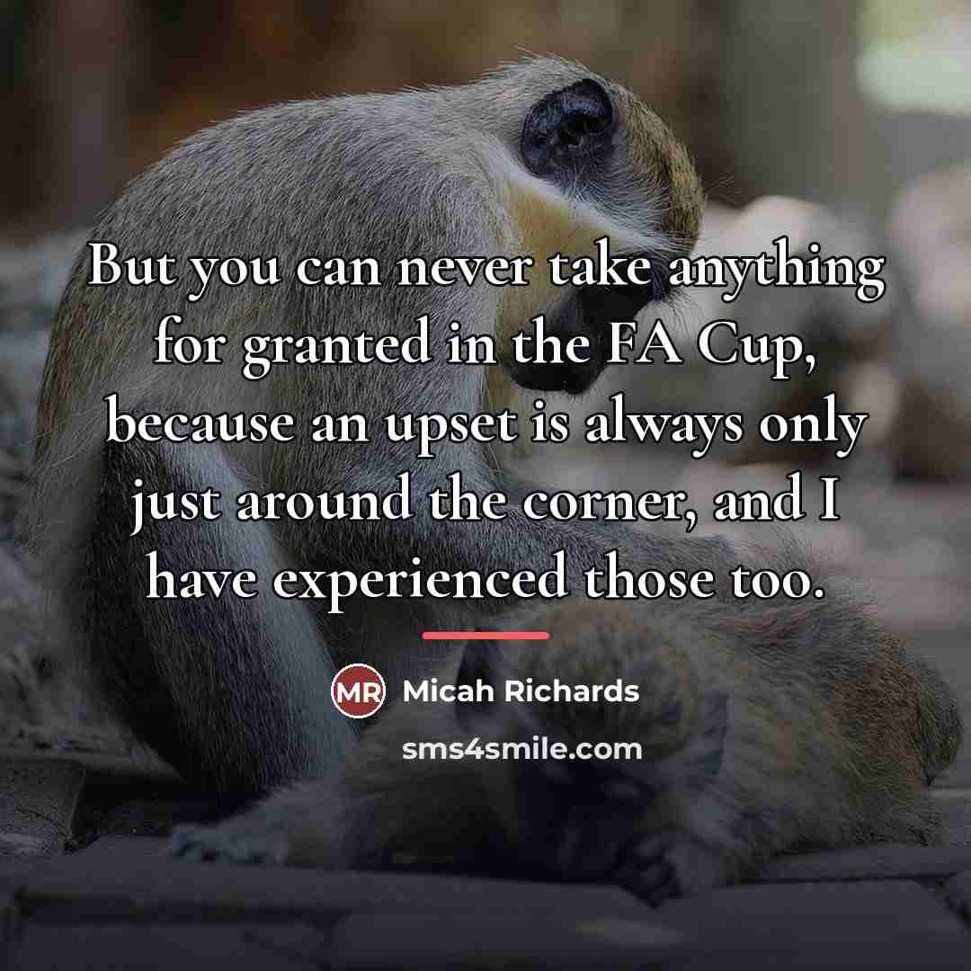 “But you can never take anything for granted in the…” quote by Micah Richards