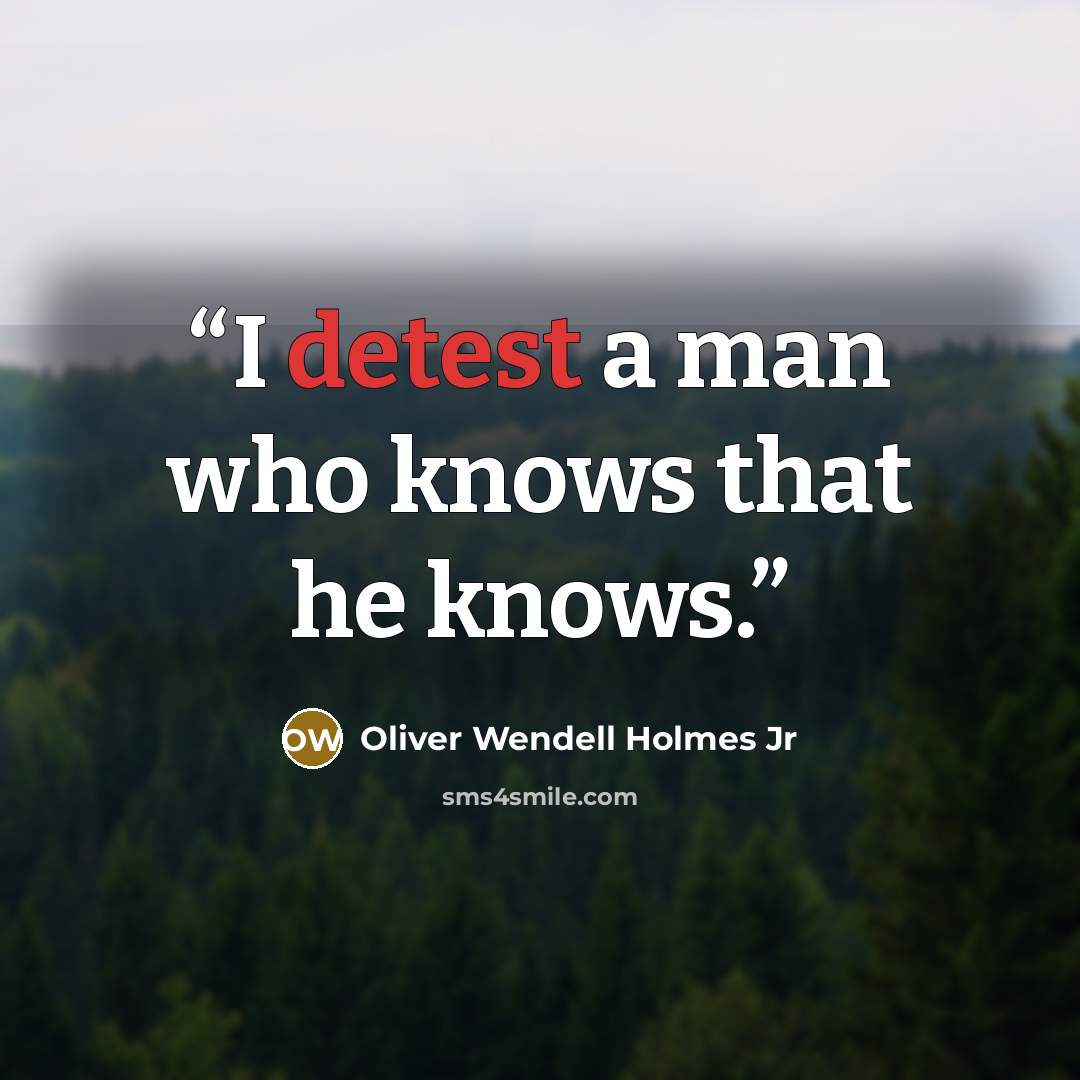 “I detest a man who knows that he knows.” quote by Oliver Wendell Holmes Jr