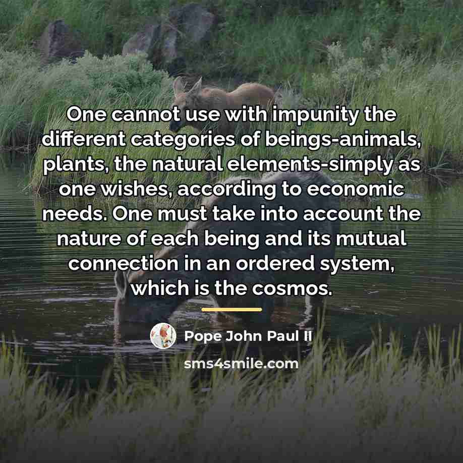 “One cannot use with impunity the different categories of beings-animals,…” quote by Pope John Paul II