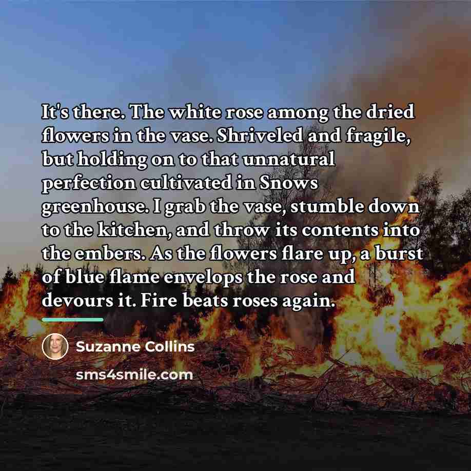 “It's there. The white rose among the dried flowers in…” quote by Suzanne Collins
