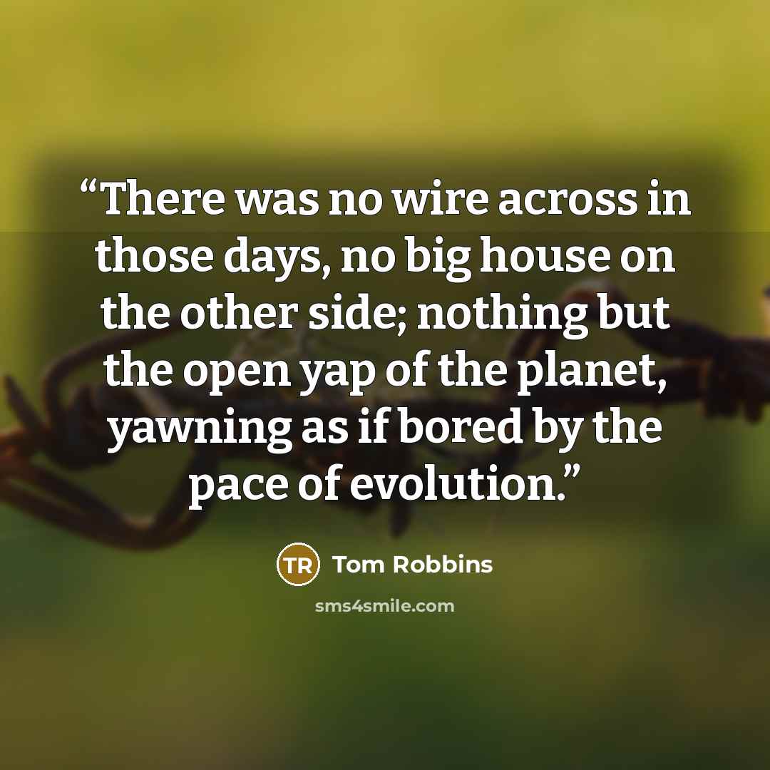 “There was no wire across in those days, no big house on the other side; nothing but the open yap of the planet, yawning as if bored by the pace of evolution.” quote by Tom Robbins