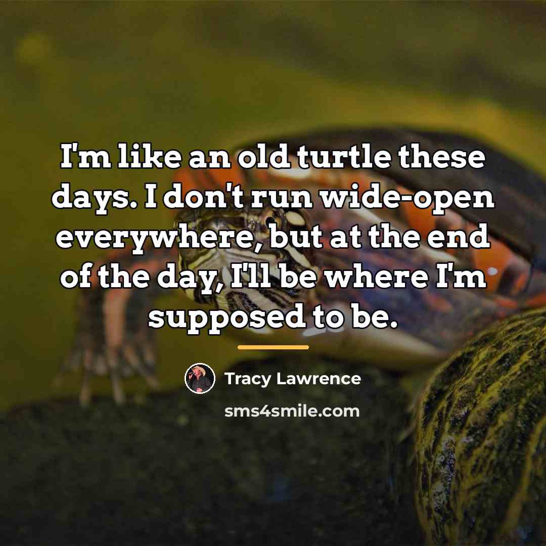 “I'm like an old turtle these days. I don't run…” quote by Tracy Lawrence