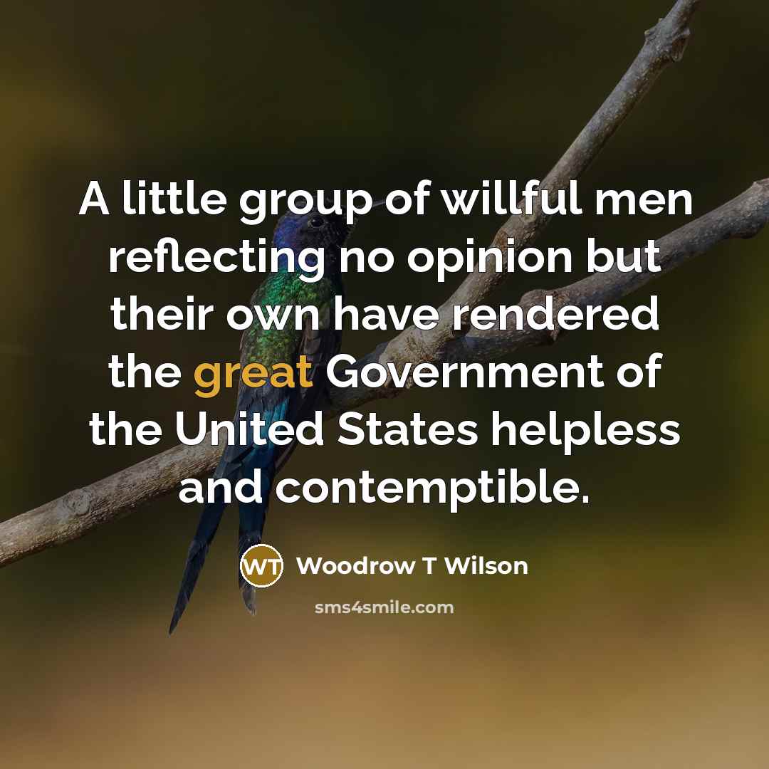 “A little group of willful men reflecting no opinion but…” quote by Woodrow T Wilson