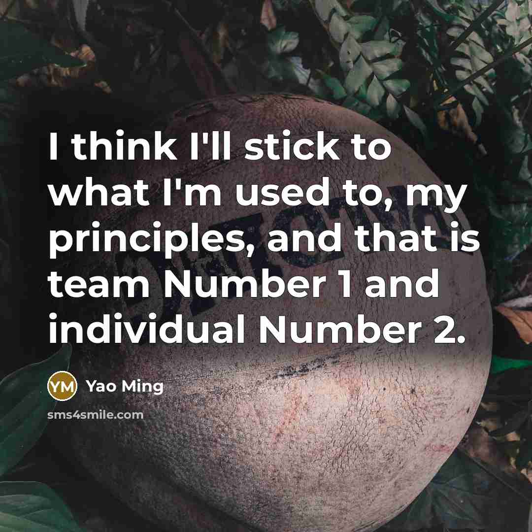 “I think I'll stick to what I'm used to, my…” quote by Yao Ming