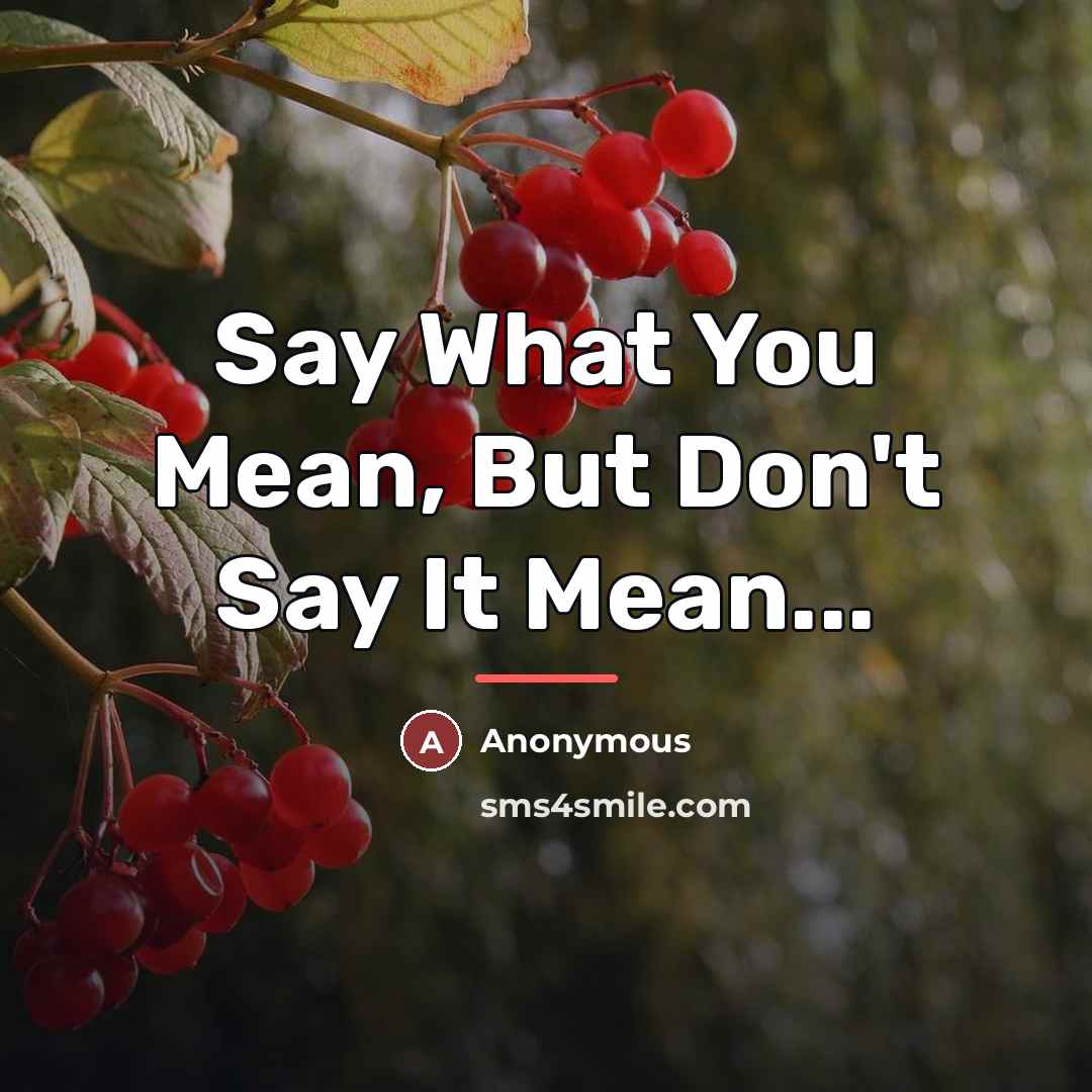 “Say What You Mean, But Don't Say It Mean...…” quote by Anonymous