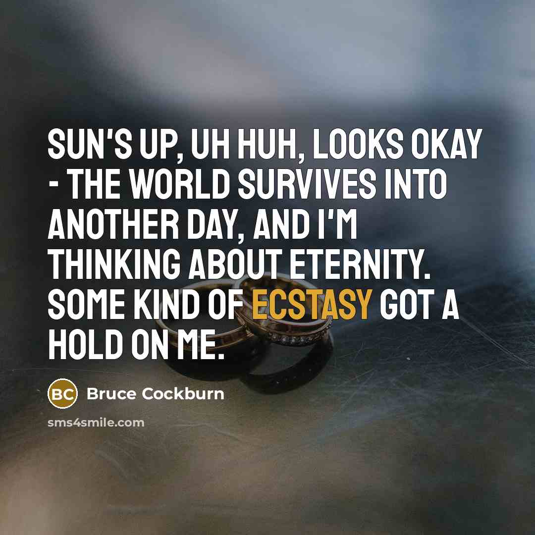 “Sun's up, uh huh, looks okay - the world survives…” quote by Bruce Cockburn
