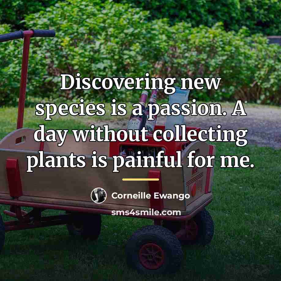 “Discovering new species is a passion. A day without collecting…” quote by Corneille Ewango