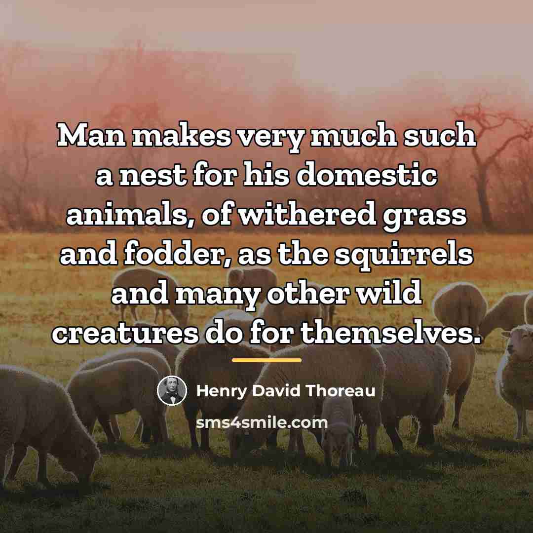 “Man makes very much such a nest for his domestic…” quote by Henry David Thoreau