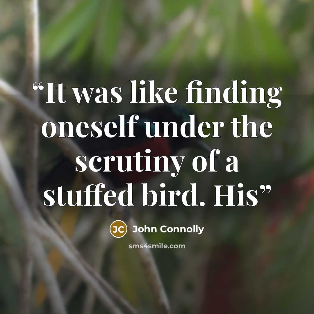 “It was like finding oneself under the scrutiny of a stuffed bird. His” quote by John Connolly