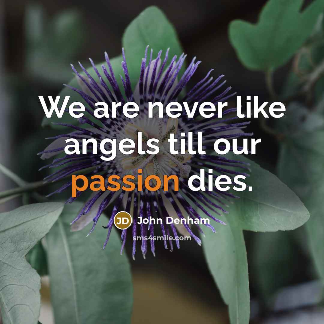 “We are never like angels till our passion dies.…” quote by John Denham