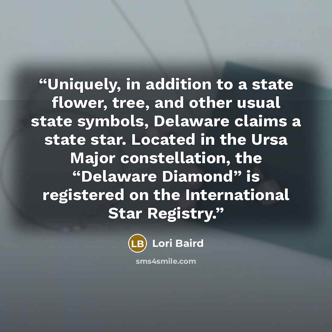 “Uniquely, in addition to a state flower, tree, and other usual state symbols, Delaware claims a state star. Located in the Ursa Major constellation, the “Delaware Diamond” is registered on the International Star Registry.” quote by Lori Baird