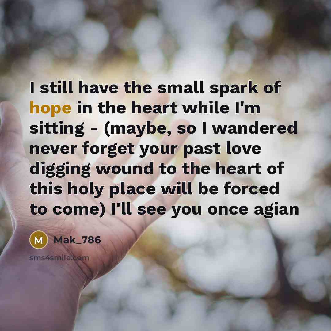 “I still have the small spark of hope in the…” quote by Mak_786