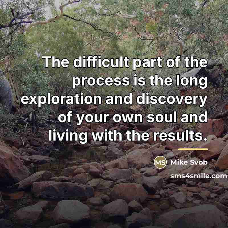 “The difficult part of the process is the long exploration…” quote by Mike Svob
