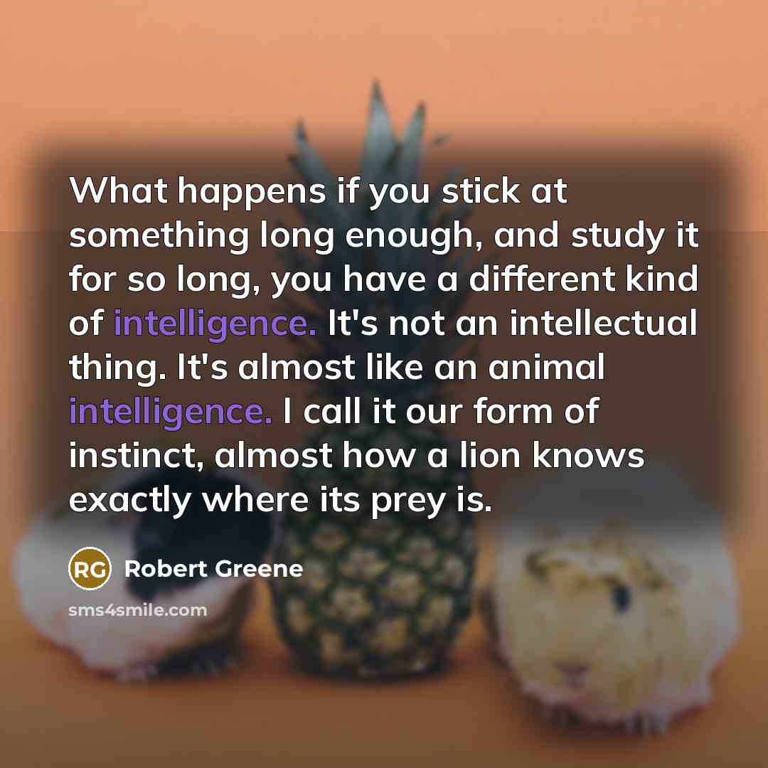 “What happens if you stick at something long enough, and study it for so long, you have a different kind of intelligence. It's not an intellectual thing. It's almost like an animal intelligence. I call it our form of instinct, almost how a lion knows exactly where its prey is.” quote by Robert Greene