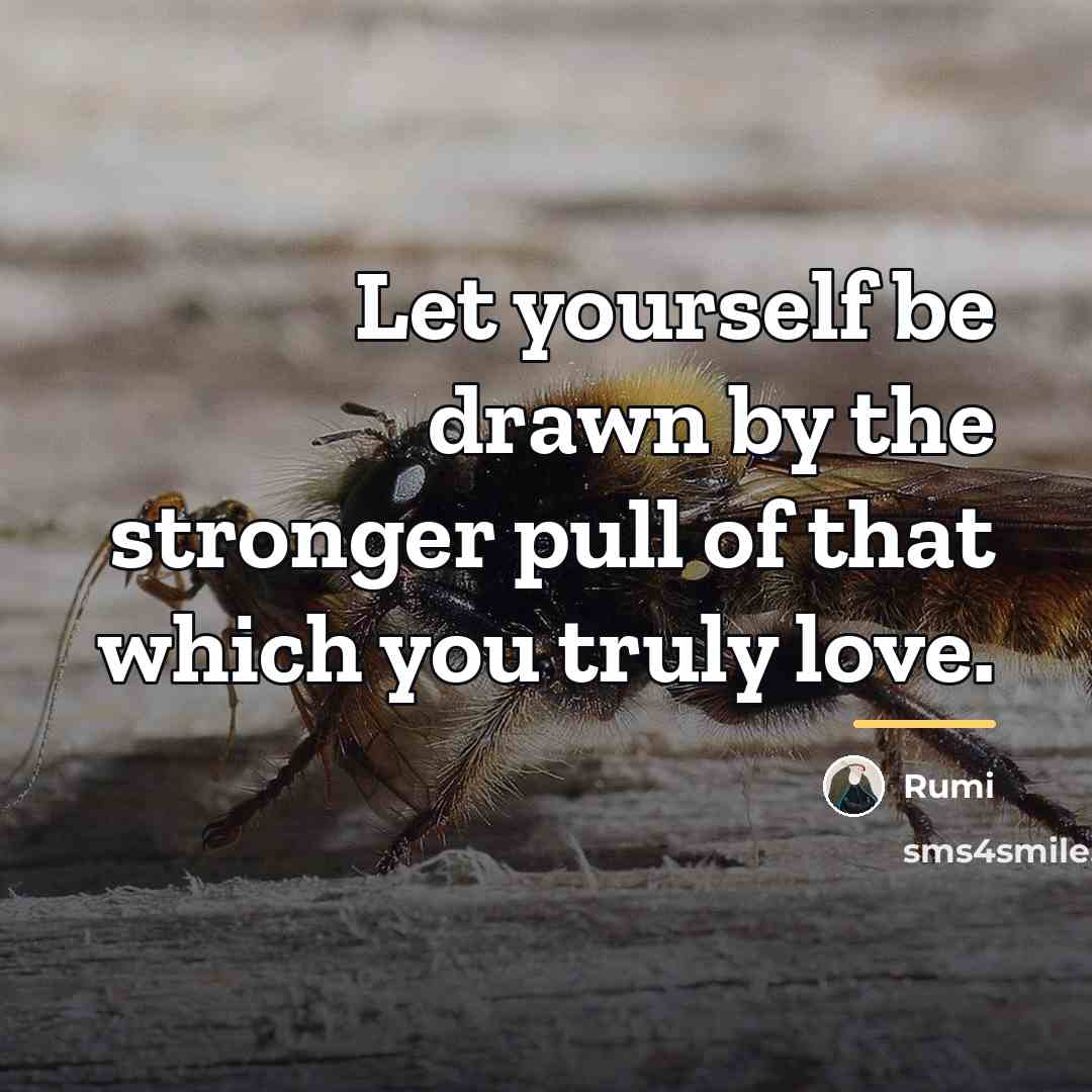 “Let yourself be drawn by the stronger pull of that…” quote by Rumi
