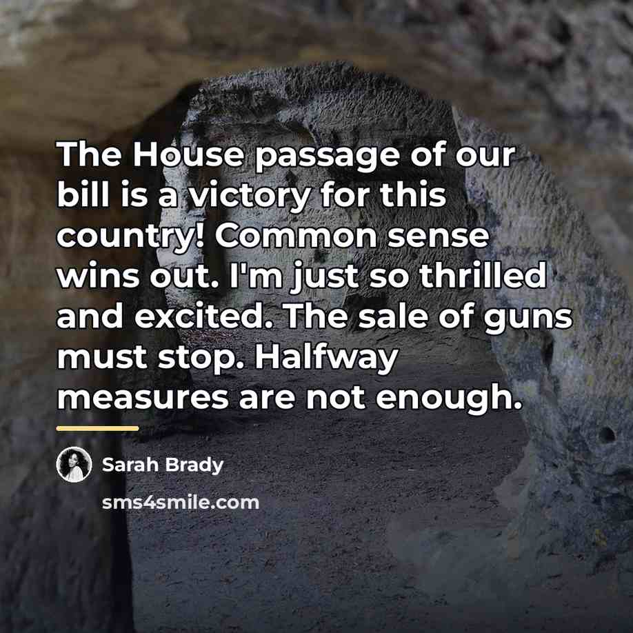 “The House passage of our bill is a victory for…” quote by Sarah Brady