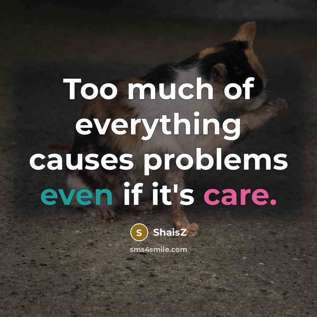 “Too much of everything causes problems even if it's care.” quote by ShaisZ