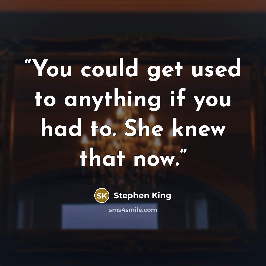 “You could get used to anything if you had to. She knew that now.” quote by Stephen King