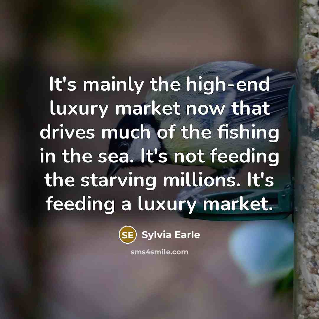 “It's mainly the high-end luxury market now that drives much…” quote by Sylvia Earle