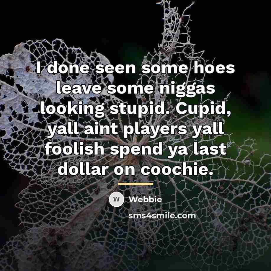 “I done seen some hoes leave some niggas looking stupid.…” quote by Webbie