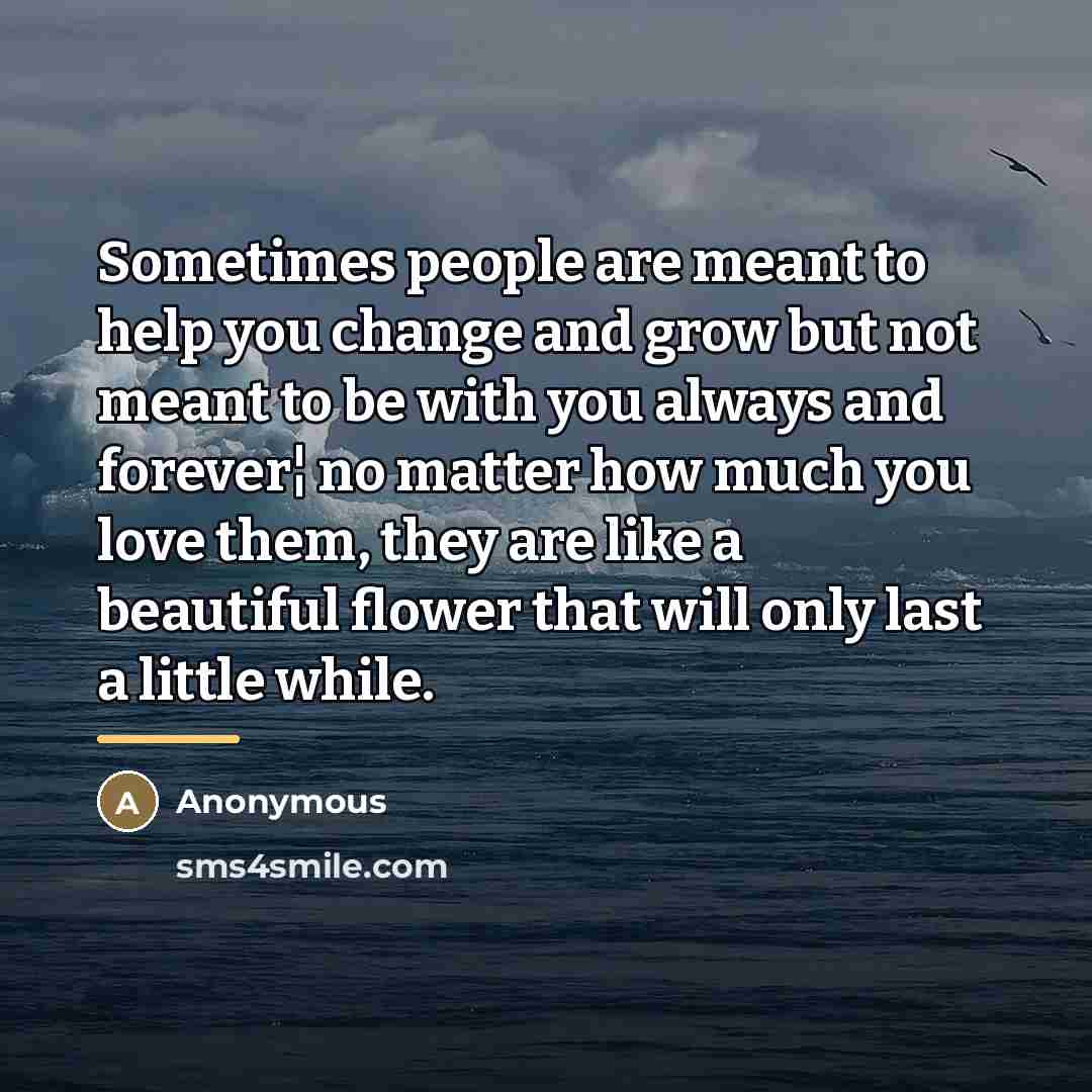 “Sometimes people are meant to help you change and grow…” quote by Anonymous