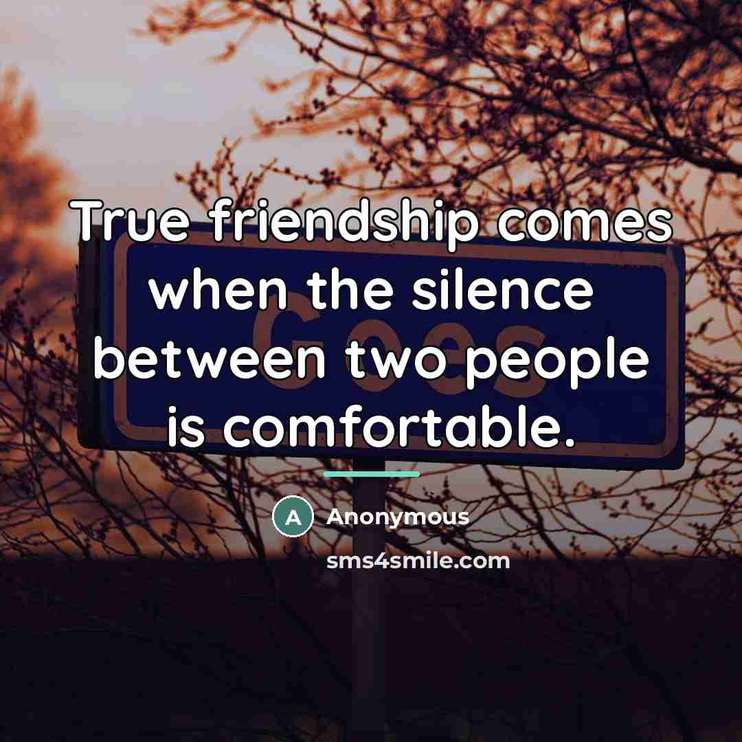 “True friendship comes when the silence between two people is…” quote by Anonymous