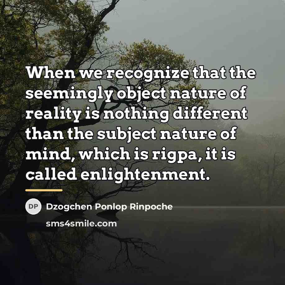 “When we recognize that the seemingly object nature of reality…” quote by Dzogchen Ponlop Rinpoche