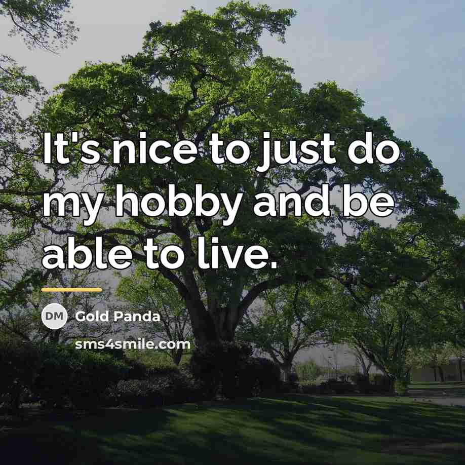 “It's nice to just do my hobby and be able…” quote by Gold Panda