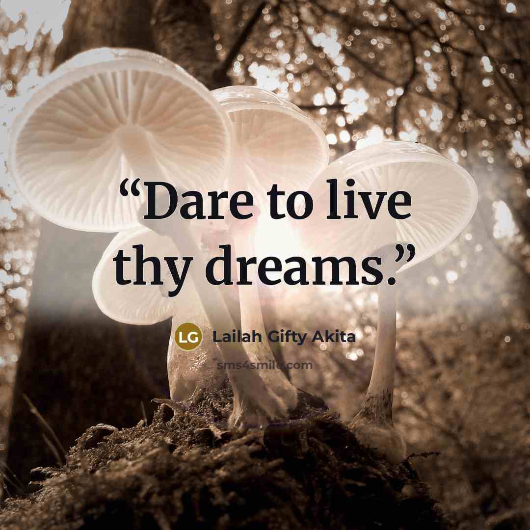 “Dare to live thy dreams.” quote by Lailah Gifty Akita